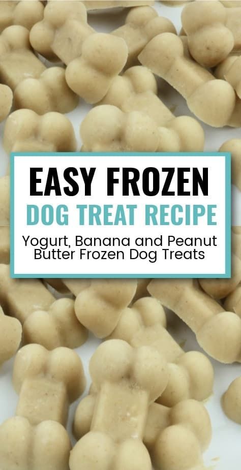 Frozen Dog Treats Recipes, Frozen Dog Treats Homemade, Homemade Frozen Yogurt, Banana And Peanut Butter, Yogurt Banana, Pet Treats Recipes, Dog Treat Recipe, Dog Treats Homemade Easy, Easy Dog Treat Recipes