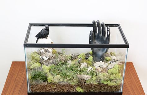 Old Aquarium Ideas Diy Upcycle, Old Fish Tank Ideas, Paludarium Ideas, Shared Garden, Tank Terrarium, Modern Bohemian Living Room, Rustic Transitional, Fish Tank Terrarium, Diy Fish Tank