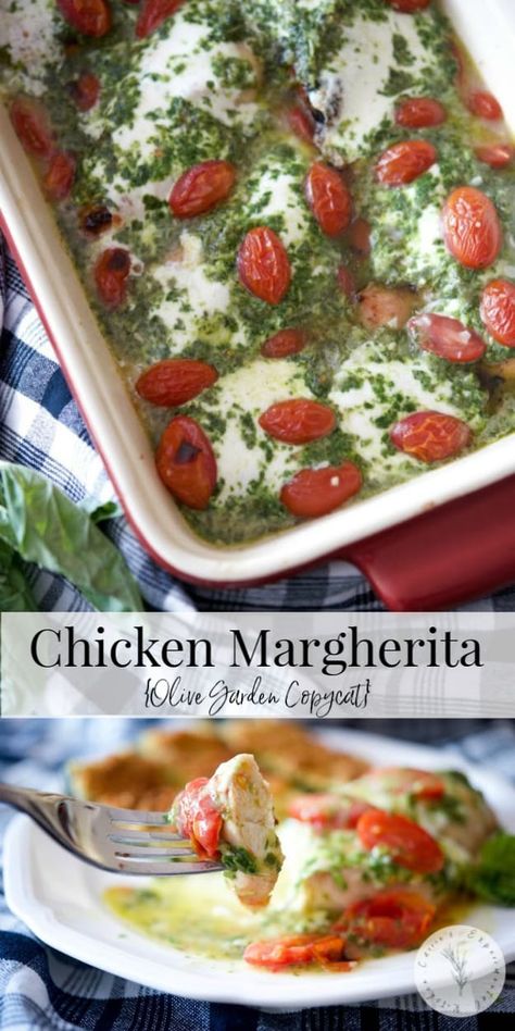 Enjoy Olive Garden's newest menu item, Chicken Margherita, at home. Grilled chicken breasts topped with fresh grape tomatoes, mozzarella, basil pesto and a lemon garlic sauce. #chicken #grilledchicken #copycatrecipe Olive Garden Chicken Margherita Recipe, Margherita Recipe, Recipes Cabbage, Margarita Chicken, Chicken Margherita, Chicken Lombardy Recipes, Copycat Recipes Olive Garden, Recipes Cheese, Lemon Garlic Sauce