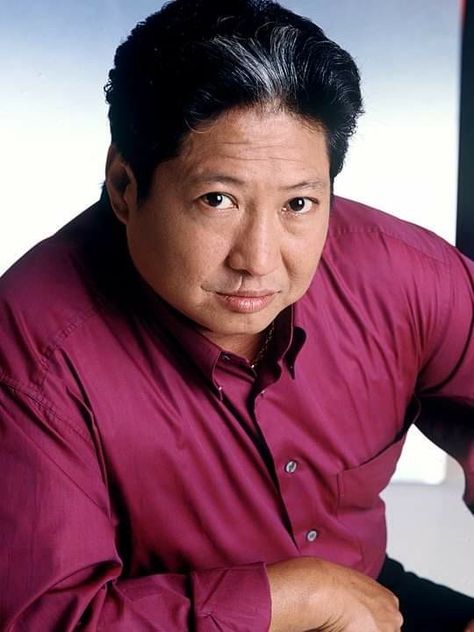 Sammo Hung, Hong Kong Cinema, Martial Arts Film, Kung Fu Martial Arts, Donnie Yen, Steven Seagal, Ip Man, Martial Arts Movies, Enter The Dragon