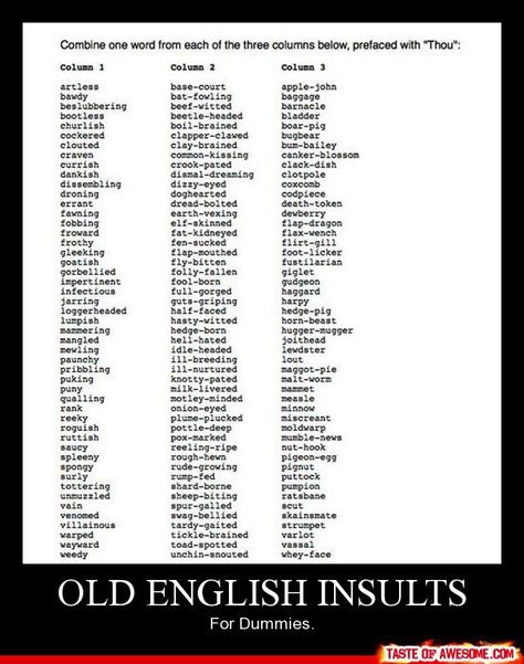 reeky onion-eyed minnow :) Ye Olde English, Insult Generator, Early Modern English, College Course, Old English Words, Funny English, Mine Forever, Middle English, Modern English