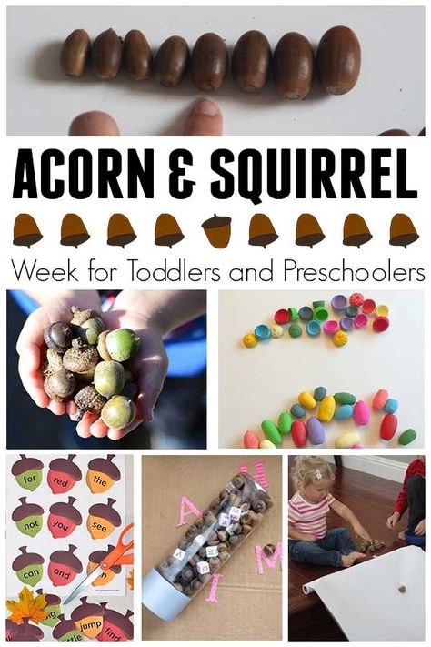 Scaredy Squirrel Activity, Squirrel Soup Preschool, Acorn And Squirrel Activities, Squirrel Activities For Kids, Squirrel Preschool, Squirrel Toddler Craft, Squirrel And Acorn Crafts Preschool, Preschool Squirrel Activities, Feed The Squirrel Activity