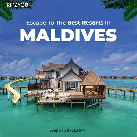 Who’s ready for an unforgettable holiday experience in the Maldives? 🌊😍 Experience the ultimate luxury at these resorts in the Maldives – from overwater villas and private beaches to incredible dining experiences and a host of activities, this is a holiday experience you’ll never forget!❤ #maldives #maldivestrip #maldivesresorts #maldivesislands #islandlife #islandliving #beach #beachlife #beachvibes #trip #travel #travelgram #tourism #tripzygo #tripzygointernational #travelwithtripzygo Best Resorts In Maldives, Maldives Resort, Maldives Island, Maldives Travel, Clear Blue Water, The Maldives, Island Living, Blue Beach, Best Resorts