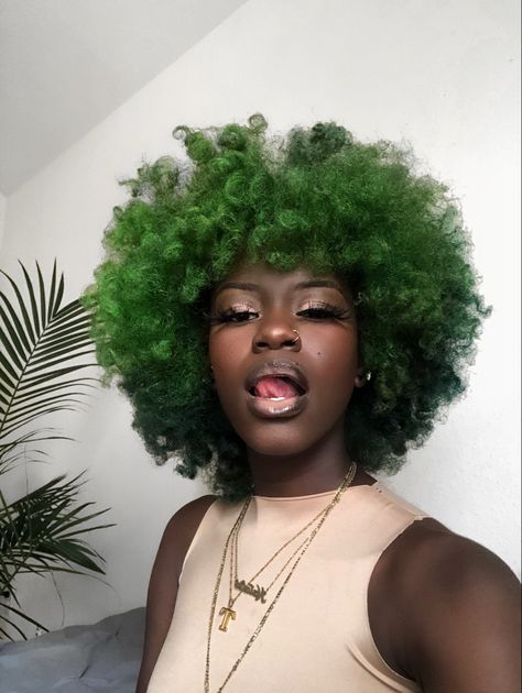 Multi Colored Afro Natural Hair, Short Afro Hairstyles 4c Hair Dyed, Natural Colour Hair Dye Ideas, Afro Colored Hair, Afro Dyed Hair, Short Curly Hair Dyed, Dyed Afro Hair 4c, Green Natural Hair, Dyed Afro