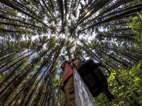 Photograph Bug's Eye View by Stu Gallagher on 500px Go Pro Photos Ideas, Gopro Photography Ideas, Go Pro Photography, Colourful Umbrella, Gopro Pictures, Gopro Ideas, Gopro Shots, Drones For Sale, Gopro Photos