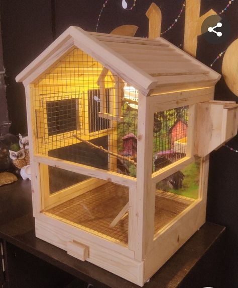 Parrot Room, Parrot House, Big Bird Cage, Finch Cage, Budgie Cage, Diy Bird Cage, Bird Cage Design, Parakeet Toys, Antique Bird Cages