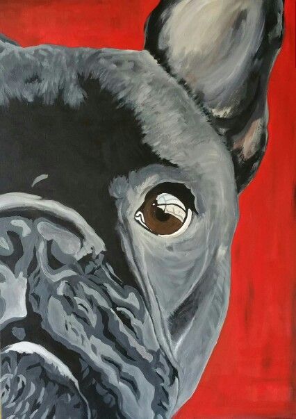 50x70 cm Acrylic painting French bulldog How To Paint A French Bulldog, French Bulldog Art Painting, French Bulldog Painting Acrylics, French Bulldog Art Wallpaper, Frenchie Painting Easy, French Bulldog Art Illustrations, Frenchie Painting, Bulldog Painting, French Bulldog Drawing