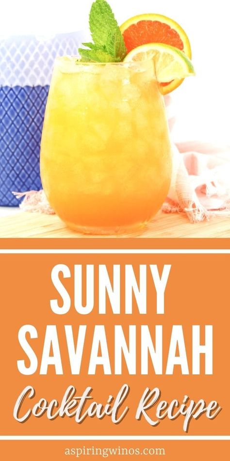 Sunny Savannah Cocktail Recipe | Cocktail Recipes | Vodka Cocktail Recipes | Peach Cocktails | Sunny Savannah #SunnySavannahCocktailRecipe #SunnySavannah #PeachCocktails #VodkaCocktailRecipes #CocktailRecipes Sunny Delight Cocktail, Sunny D Cocktails, Cocktail Recipes Vodka, Sunrise Drink, Vodka Sunrise, Wine Cocktail Recipes, Peach Cocktail, Peach Drinks, Blog Success