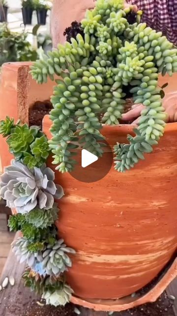 Andrea Hansen on Instagram: "I found my next #succulent project.  Now the question is, do I break a brand new pot? Does anyone in my area has a broken one willing to let go to a good cause?  #gardening #succulents #pnw #pnwwonderland" Broken Pot Succulent Garden, Suculents Pot Ideas, Broken Clay Pots Ideas, Broken Pot Garden, Concrete Bricks, Welcome To The Jungle, Succulent Arrangements, Succulent Plants, Succulents Diy