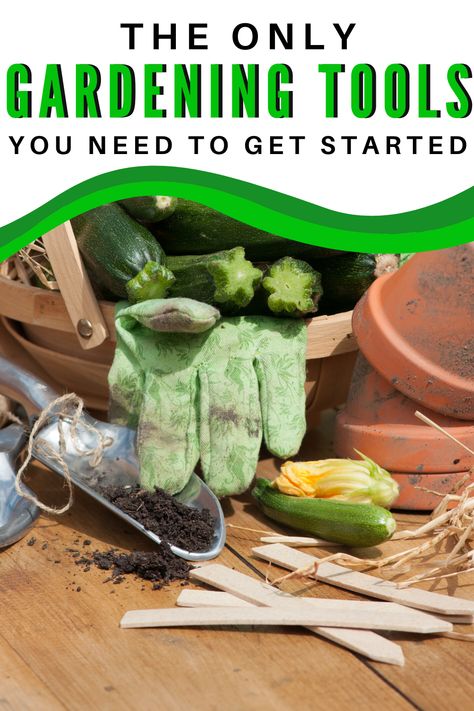 What are the best gardening tools for beginners? What are the must have gardening tools to get started growing? This list is meant for any type of garden- big or small. It includes products that are essential for new gardeners. #gardeningtips ##gardeningtools #gardeningproducts #howtogarden Gardening Tools For Beginners, Monthly Gardening Checklist, Must Have Garden Tools, Gardening Tools Aesthetic, Essential Gardening Tools, Vegan Sign, Garden Fairy Costume, Rustic Garden Design, Moving Plants