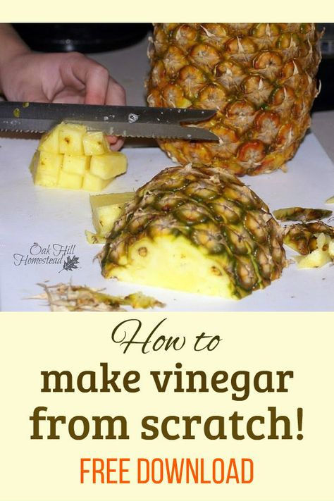 Fruit Scraps, Make Vinegar, Pineapple Vinegar, Fruit Vinegar, How To Make Vinegar, Homestead Kitchen, Vinegar Uses, Probiotic Foods, Fermentation Recipes