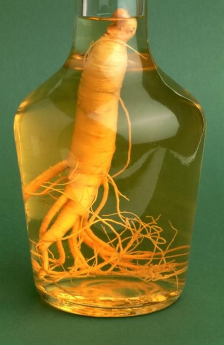 Panax ginseng: the medicinal plant and root. (Photo by Getty Images) Ginseng Drink, Ginseng Chicken Soup, Ginseng Plant, Vodka Mixes, Super Target, Korean Red Ginseng, Korean Ginseng, Ginseng Root, Panax Ginseng