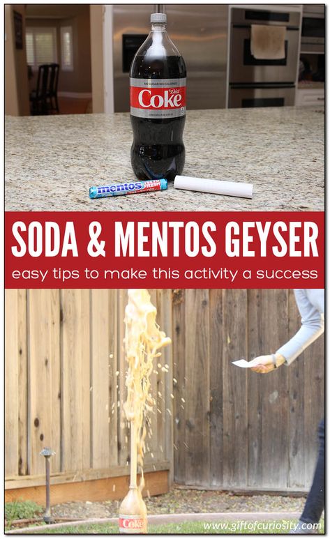 Soda and Mentos Geyser Activity - Gift of Curiosity Kid Stem Activities, Soda And Mentos Science Fair Project, Mad Scientist Activities For Kids, Mentos Science Fair Project, Science Experiments For Kindergarten, Mentos And Soda Experiment, Coke Mentos Experiment, Science Camp Activities, Diet Coke And Mentos Experiment