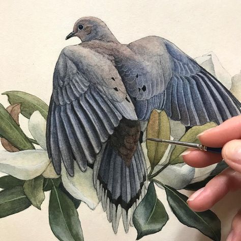 Alex Warnick on Instagram: “Commissions are an enjoyable challenge where the initial vision for a painting originates in someone else’s mind. This Mourning Dove and…” Morning Dove Drawing, Morning Dove Tattoo, Morning Doves, Morning Dove, Dove Drawing, Dove Painting, Concept Art Drawing, Ap Art, The Client