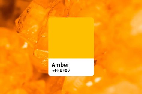 Amber Eyes Color Palette, What Color Would I Be, Amber Color Palette, Amber Palette, Color Christmas Lights, Amber Core, Amber Eyes Color, Color Generator, Orange Palette