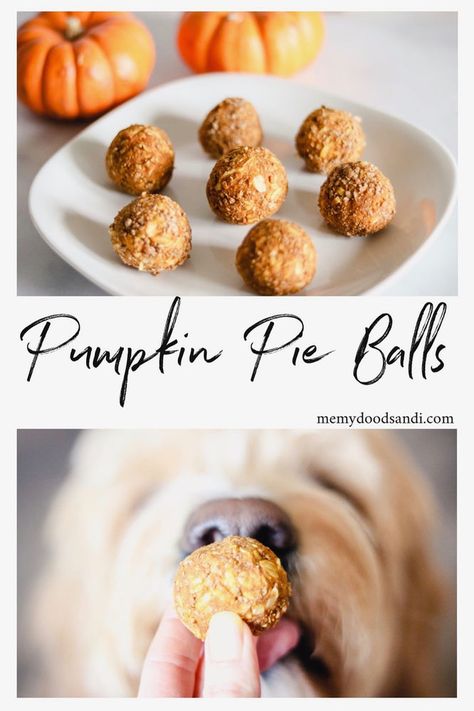 Pumpkin Pie Balls, Pie Balls, No Bake Dog Treats, Soft Dog Treats, Pet Treats Recipes, No Bake Pumpkin, Dog Treats Homemade Easy, Easy Dog Treat Recipes, No Bake Pumpkin Pie