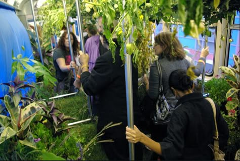 Chicago Subway Train Transformed Into Lush Mobile Garden Garden On Wheels, Chicago Subway, Chicago Train, Regenerative Design, Mobile Garden, Nightlife Photography, Space Installation, Driving Miss Daisy, Bus Art