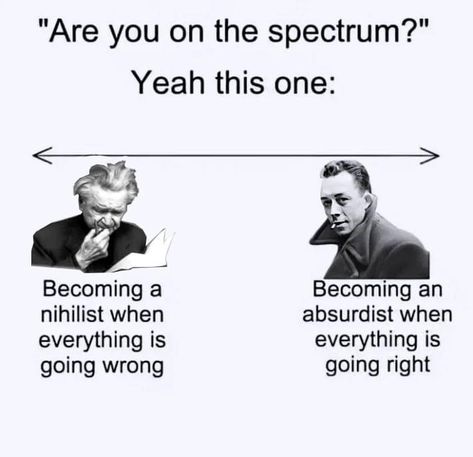 Deep Memes, Philosophy Memes, Logic And Critical Thinking, Baba Jaga, Literature Humor, Albert Camus, Fun Fun, Meaning Of Life, Classic Literature