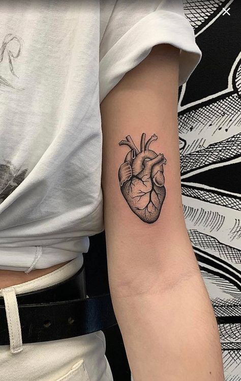 Human Heart Tattoo, Hart Tattoo, Realistic Heart Tattoo, Realistic Heart, P Tattoo, Anatomical Heart Tattoo, Inspiration Tattoos, Skeleton Hand Tattoo, Tattoo Artwork