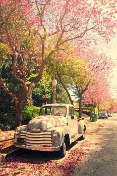 Cuteness~~ in the shape of a vintage car!come on spring!!! Flowers Morning, Truck Theme, Old Truck, Spring Mood, Felted Animals, 수채화 그림, Spring Aesthetic, Vintage Trucks, Jolie Photo