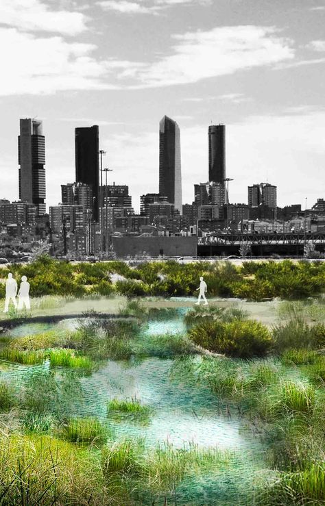 Arup Releases Report Envisioning a Greener Madrid Landscape Architecture Graphics, Landscape Gardening, Master Planning, Easy Landscaping, Architecture Collage, Architecture Graphics, Landscape Architecture Design, Landscaping Supplies, Landscaping Tips