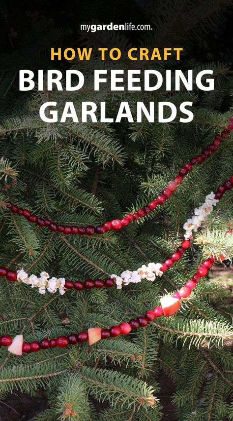 Outdoor Bird Christmas Tree, Ice Bird Feeder, Diy Winter Bird Feeder, Bird Friendly Christmas Ornaments, Winter Bird Craft, Diy Bird Feeders Homemade, Outdoor Garland Ideas, Cranberry Garland Diy, Bird Feeding Station Ideas Diy