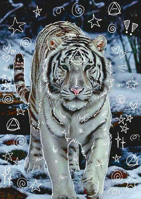 Therian Pictures, Art Cute Easy, Tiger Therian, Therian Art, Therian Pfp, Snow Tiger, Tiger Mask, Therian Stuff, Tiger Drawing