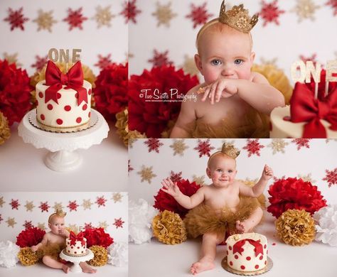 Two Sisters Photography, Red And Gold Cake, Christmas Cake Smash, Gold Cake Smash, Sisters Photography, 1st Birthday Girl Decorations, 1st Birthday Party For Girls, Photography Cake, Baby Cake Smash