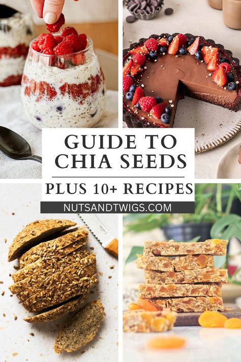 collage of 4 vegan chia seed recipes Replace Eggs In Baking, Chia Seeds Recipes, Egg Replacement In Baking, Vegan Puddings, Seeds Recipes, Vegan Pudding, Seed Recipes, Vegan Snack Recipes, Chia Seed Recipes