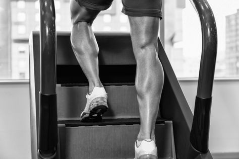 GroomNStyle | Check Out Out Coveted Top 5 Best Stepper Machine Reviews of 2016. From Stair & Tread Climbers To Mini Exercise Steppers, All Are Covered! Types Of Cardio, Stair Climber, Cardio Machines, Best Ab Workout, Stair Tread, Cardio Routine, Best Abs, Abs Workout For Women, Fitness Design