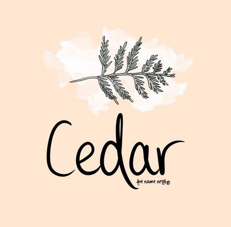 Cedar ~ past the fence on the far side of the farm, through the trees in the cedar tree grove, your soul whispered quietly to the wild folk, wearing a jumper knitted in sage and mauve, Cedar was your nature hearted soul, free and wild like the land and sun ✨ original intuitive name meaning and artwork by Tara Sea, the name nest. This name is Greek in origin and means ‘cedar tree’. It can be pronounced ‘Sea-dar’. This is a beautiful gender neutral baby name that evokes those nature fees. I ... Tree Meanings, Tree Grove, Cedar Tree, Far Side, Cedar Trees, The Far Side, Name Meaning, The Fence, Baby Name