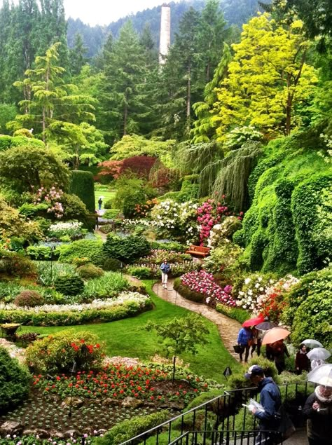 Butchart Gardens, Victoria Island, Canada Victoria Island Canada, Buchart Gardens, Victoria Island, Butchart Gardens, Victoria Canada, Meteor Garden 2018, Magic Garden, Better Homes And Garden, Kew Gardens