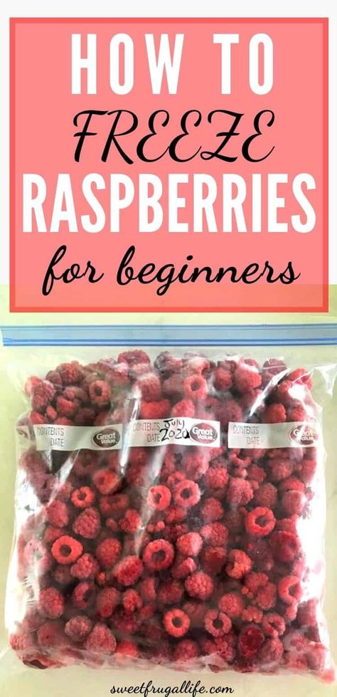 Freeze Raspberries How To, How To Preserve Raspberries, Preserve Raspberries, How To Freeze Raspberries, Freeze Fruit, Freezing Raspberries, What To Do With Fresh Raspberries, Preserving Raspberries, Recipes Using Fresh Raspberries