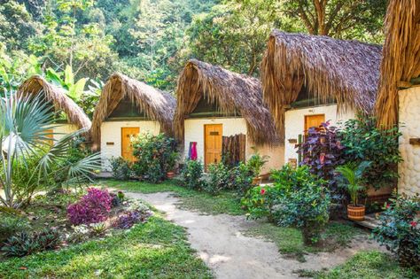 21 eco-friendly hostels perfect for the sustainable traveller! Sustainable House Design Eco Friendly, Sheds Turned Into Homes, Cozy College Dorm, Affordable Barndominium, Apartment Fever, Small House Design Philippines, Resort Design Plan, Eco Farm, Cute Backyard