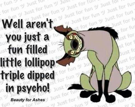 Well aren't you just a fun filled little lollipop triple dipped in psycho! Funny Random, Never Stop Dreaming, Hee Hee, Birthday Meme, Funny Sayings, E Card, Dieselpunk, Sarcastic Humor, Sarcastic Quotes