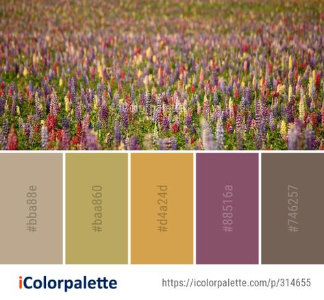 Color Palette Ideas from Plant Wildflower Flower Image Lupine Color Palette, Cottage Core Pallete Color, Wild Flower Colour Palette, Cottage Garden Color Palette, English Garden Color Palette, Enchanted Garden Color Palette, Meadow Color Palette, Wild Flower Color Palette, Wildflower Color Palette