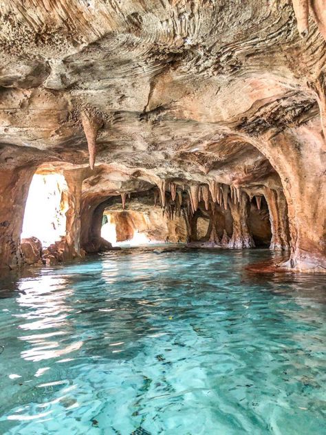 This small cave at Discovery Cove is so unique. Cove Aesthetic, Underwater Palace, Ocean Dragon, Discovery Cove Orlando, Cave Aquarium, Beach Cave, Glaucus Atlanticus, Mermaid Cave, Cave Pool