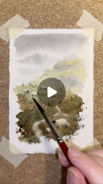 Watercolor Sheep Tutorial, Watercolor Sheep, Sheep Drawing, Loose Watercolor Flowers, Sheep Paintings, Sheep Art, Watercolor Beginner, Watercolor Video, Watercolor Paintings Easy