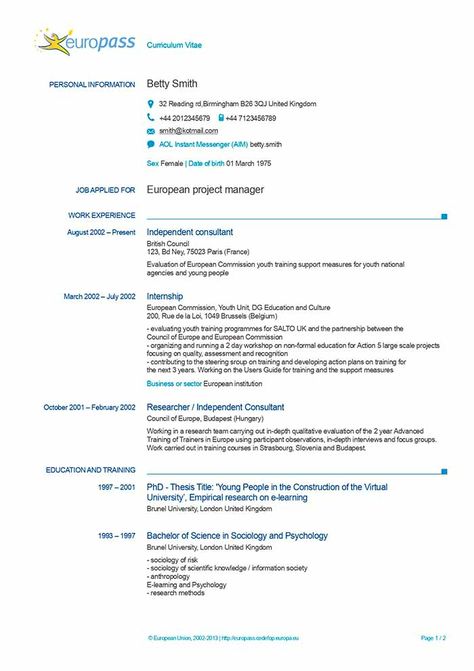 Europass CV © 2023 Free Download | European Resume Template Europass Cv, Cv Writing Tips, Curriculum Vitae Format, Cv Template Download, Cv Template Word, Cv Examples, Cv Template Professional, Downloadable Resume Template, Download Resume