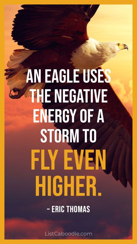 Eric Thomas eagle quote. Eagle Quotes, Eagles Quotes, He Is Lord, Native American Wisdom, Eric Thomas, Wings Like Eagles, Eagle Pictures, Powerful Inspirational Quotes, Strong Mind Quotes