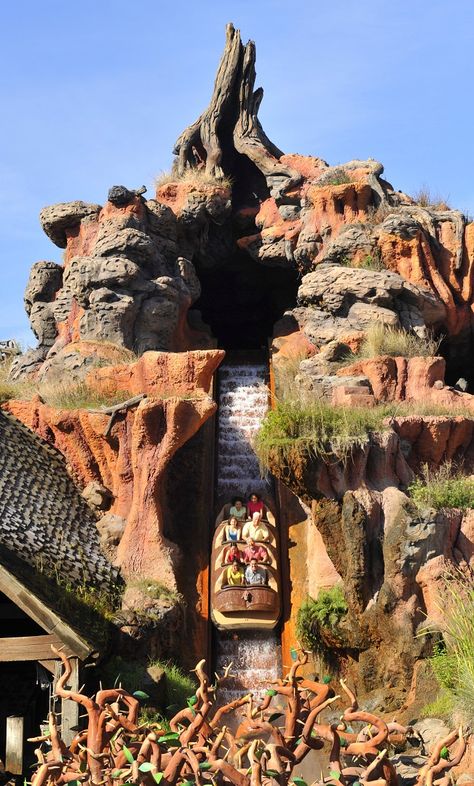 Walt Disney World Rides, Disney World Rides, Disney World Pictures, Disney World Vacation Planning, Splash Mountain, Disney Rides, Disney World Florida, Disney World Tips, Disney World Parks