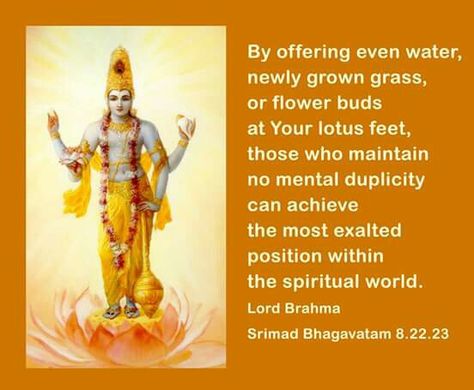 Shrimad Bhagwatam, Vedic Quotes, Krishna Sayings, Bhagwad Gita, Srimad Bhagavatam, Bhagwat Geeta, Healing Prayers, Advaita Vedanta, Krishna Consciousness