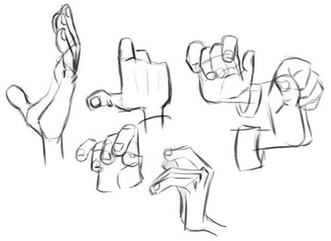 Hands Anatomy, Gorillaz Art Style, Hand Studies, Milt Kahl, Anatomy Studies, Character Designing, Iron Giant, Reference Ideas, The Iron Giant