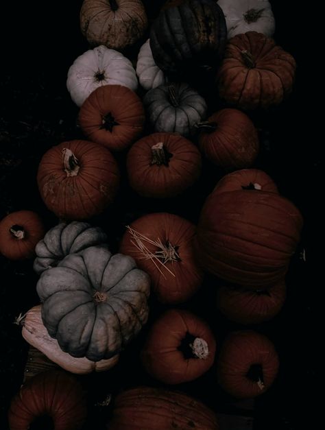 Ig Grid, Autumn Backgrounds, Pumpkin Wallpaper, The Boogeyman, Autumn Magic, Dark Autumn, October Halloween, Halloween Wallpaper Iphone, Season Of The Witch