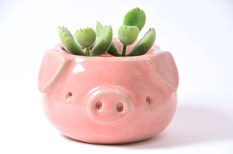 Cute Chubby Pink Pig Succulent Cactus Ceramic Planter Plant Pot: Pig Planter, Clay Pinch Pots, Pottery Pinch Pot, Cactus Ceramic, Ceramic Pinch Pots, Pinch Pot, Tanah Liat, Keramik Design, Pinch Pots