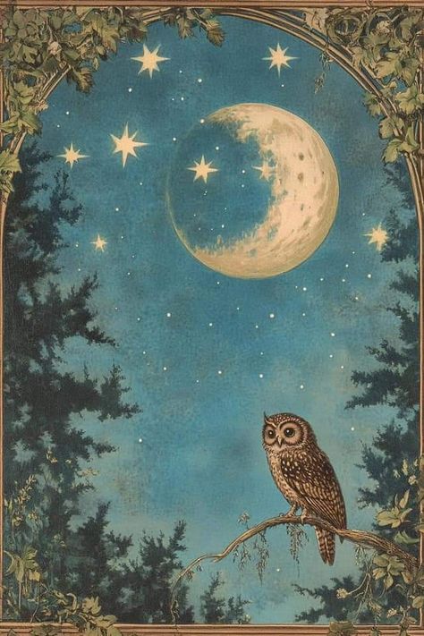 Whimsical Art Paintings, Wise Old Owl, The Graphics Fairy, Storybook Art, Owls Drawing, Graphics Fairy, Moon Face, Vintage Owl, Fairytale Art