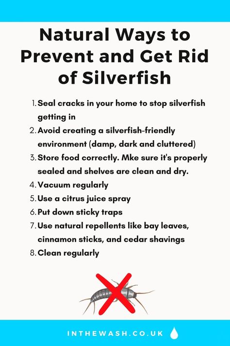 How to Use Essential Oils to Get Rid of Silverfish Fish Smell In House Get Rid Of, Silver Fish How To Get Rid Of, How To Get Rid Of Noseeums, How To Get Rid Of Silverfish, How To Get Rid Of Silverfish Home, Getting Rid Of Crickets, Get Rid Of Silverfish, Diy Household Cleaners, Laundry Hacks