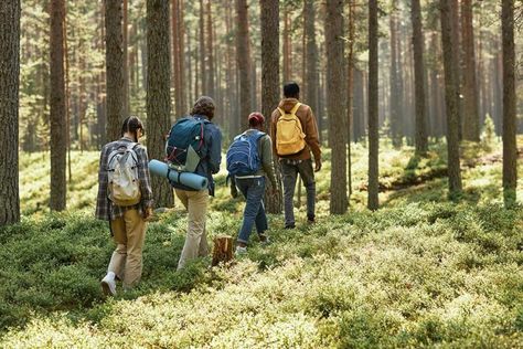 People Diversity, Hiking Group, Yoga Outdoors Nature, Eco-friendly Outdoor Backpack, Social Media Coordinator, Green Jobs, Nature Museum, Full Time Work, Personal Journey