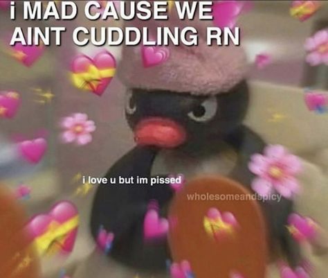 Cuddling Meme, Cuddle Pictures, Send To Him, Flirty Memes, I Love My Gf, Love My Gf, Funny Couples Texts, I Want To Cuddle, Heart Memes