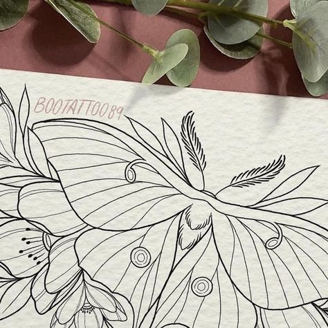 Luna Moth Line Drawing, Line Moth Tattoo, Luna Moth Tattoo Design, Luna Moth Drawing, Lunar Moth Tattoo Design, Luna Moth Design, Lunar Moth Tattoo, Luna Moth Tattoo, E.t Tattoo